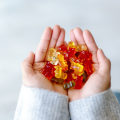 Can a 2 Year Old Eat Gummies Safely?